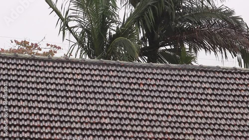rain on the roof of the house