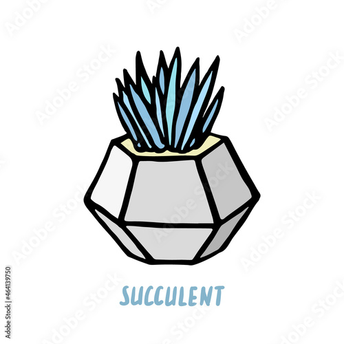 Succulent cactus in grey pot. Hand drawn doodle succulents icon, logo. Isolated houseplants in concrete flowerpot. Vector illustration for poster, banner.