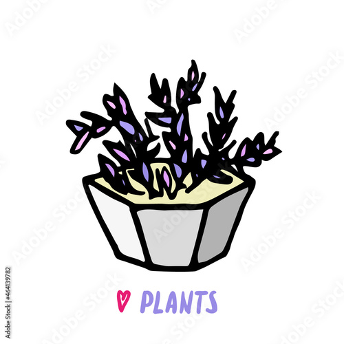Succulent cactus in grey pot. Hand drawn doodle succulents icon, logo. Isolated houseplants in concrete flowerpot. Vector illustration for poster, banner.