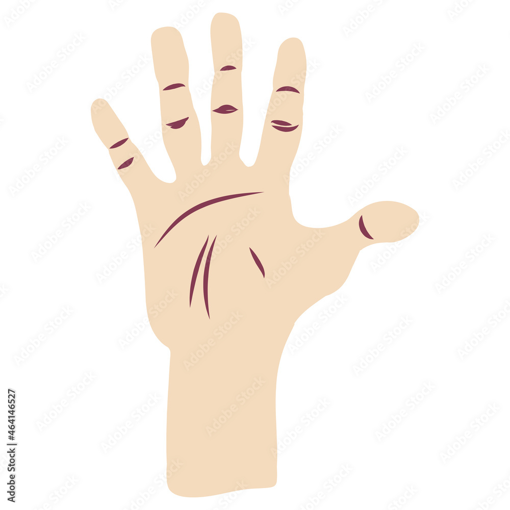 Fototapeta premium hand drawn finger five on white background.