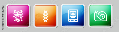 Set line Beetle deer, Centipede, Book about insect and Snail. Colorful square button. Vector