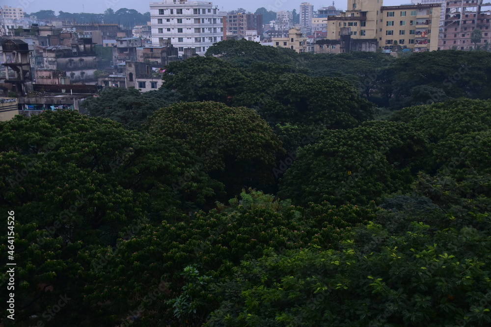 バングラデシュのチッタゴン。
森林とレトロな街並み。