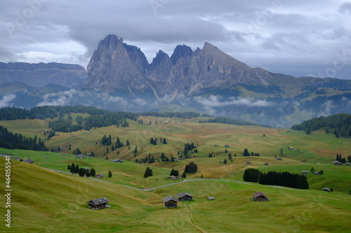 Meadows of the Dolomites. Alpe Di Siusi, Italy.