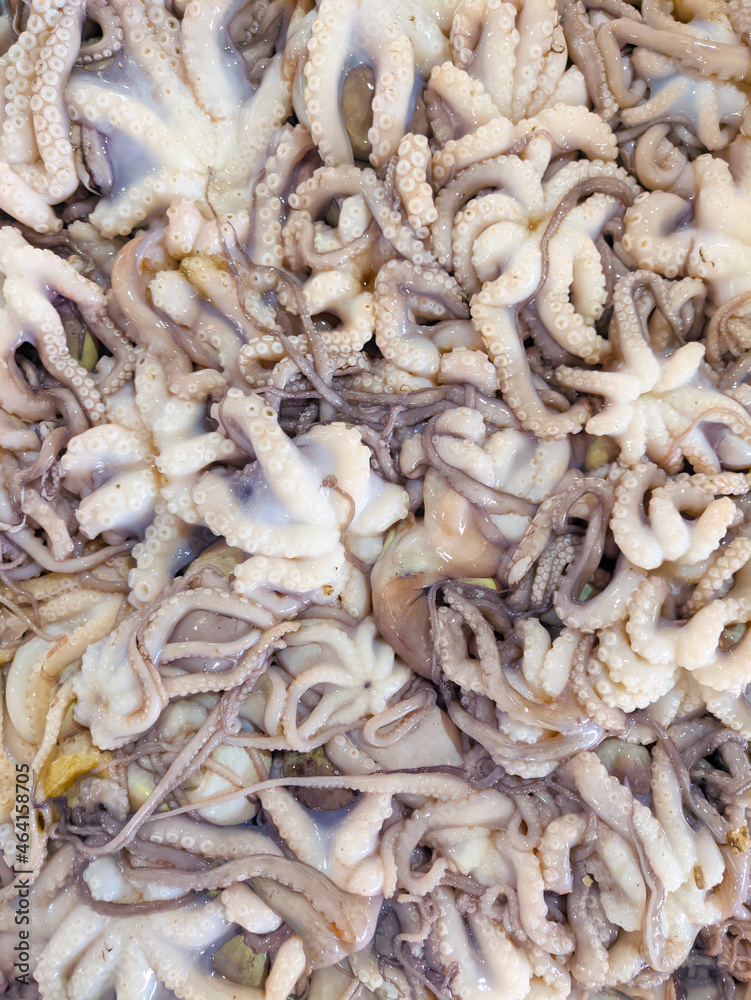 Squid tentacles. Fresh food from the sea.