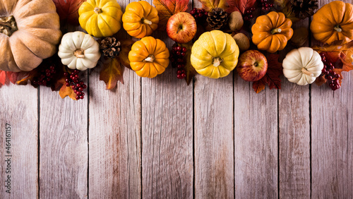 Thanksgiving and autumn composition. Pumpkin, apple,red berry and autumn leaves on dark wooden background.
