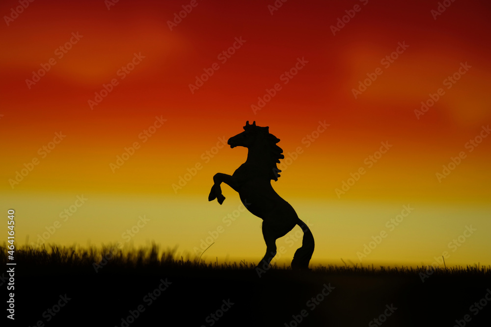 Silhouette of standing prancing horse miniature at grass field on sunset sky background.