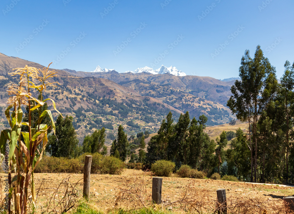 Stunning landscape of the Cordillera Blanca from a corn field.