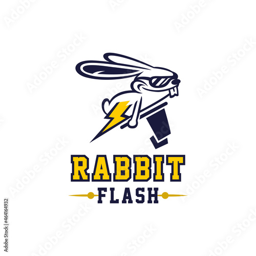 Logo Rabbit Flash Sports General Good For Any Industry