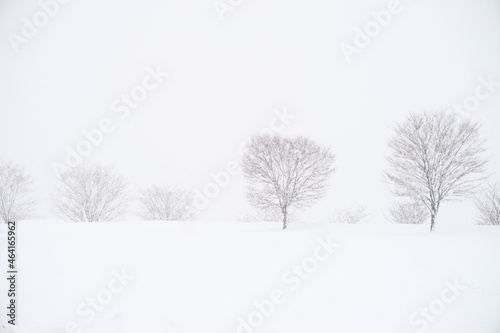 北陸金沢の大乗寺丘陵公園、吹雪の雪原