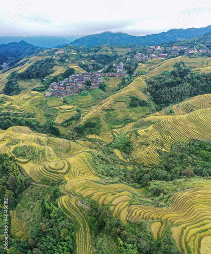 Aerial view of rice fields in Longji, China photo