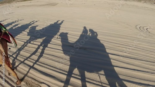 sombras de camellos tustas viajando en los cabos mexico baja califormia photo