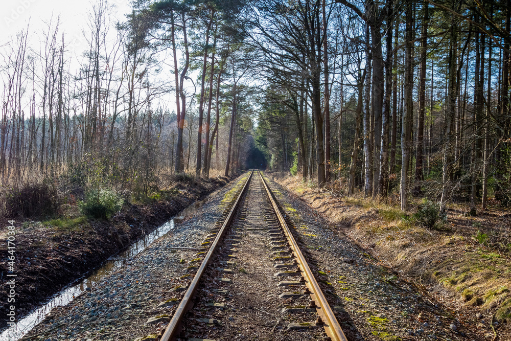 railway in the woods railway in the woods