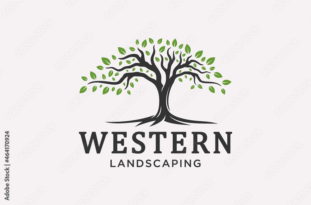 roots or tree of landscaping logo design.
