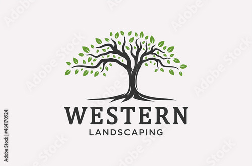 roots or tree of landscaping logo design.