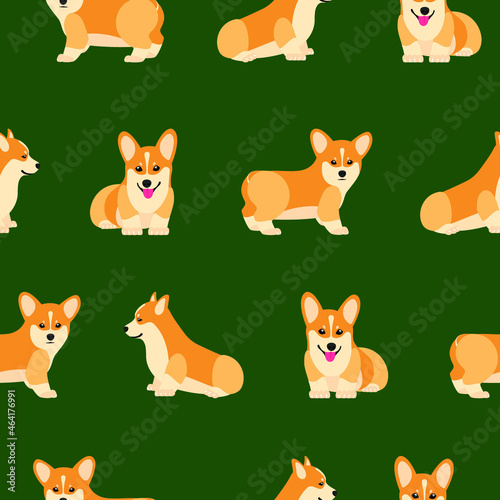 Funny happy dog corgi pattern photo