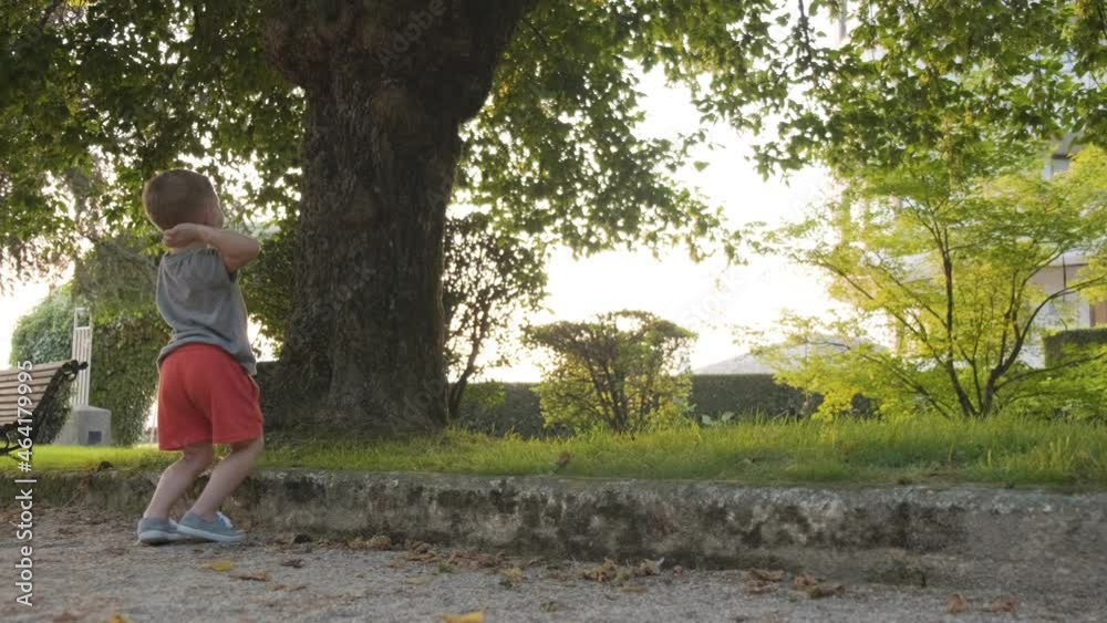 A Boy Throwing a Rock Up into a Tree in a Park, Panning Shot