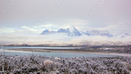 Seno Ultima Esperanza in Patagonia in Torres del Paine National Park, in the south of the Chili province Magallanes Region and Antartica Chilena, Puerto Natales photo