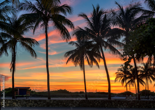 Palm trees in California beach at sunset. Fashion travel and tropical beach concept. 