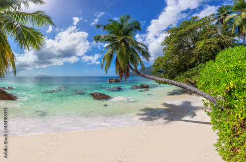 Paradise beach with coco palms and tropical sea. Fashion travel and tropical beach concept.