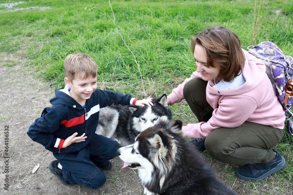 Mother with son caress husky dog Mother with son caress husky dog