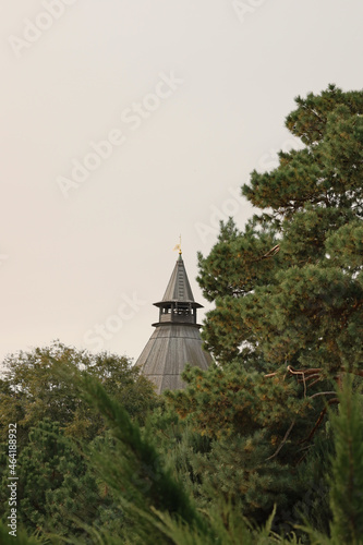 Wooden roof of the Astrakhan Kremlin tower among green trees