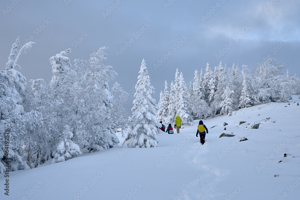Winter hiking in the mountains and forest