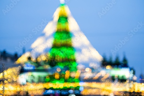 christmas lights hanging in a tree © Angelov