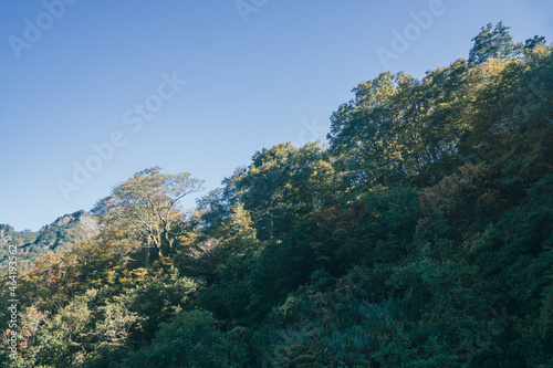 秋の風景 紅葉 黃葉 海谷山塊 新潟
