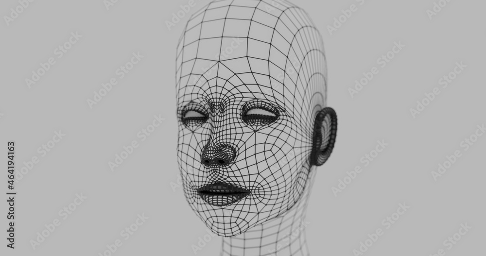 Obraz premium 3d wireframe head