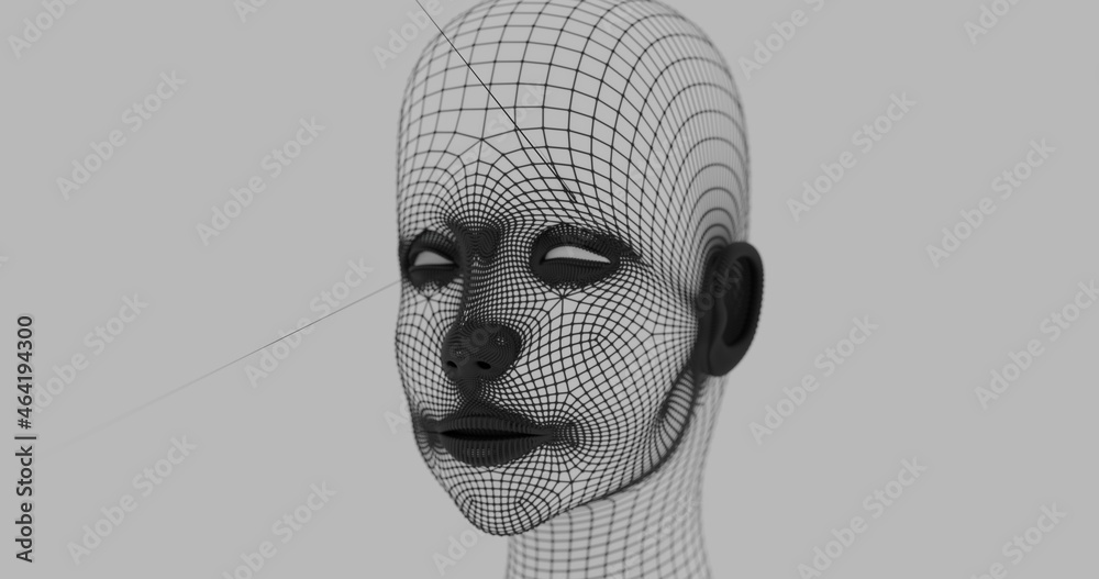 3d wireframe head 3d wireframe head