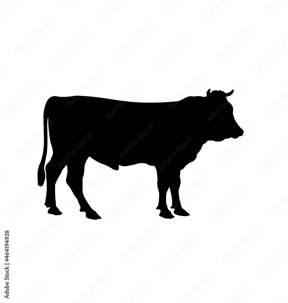 cow bull cattle silhouette