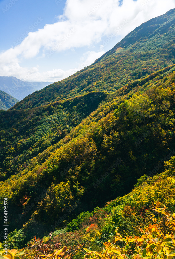 秋色の斜面　青空　紅葉　黃葉