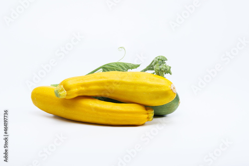 Yellow and green zucchini with green leaves