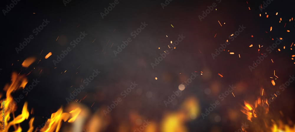 custom made wallpaper toronto digitalHalloween Witch .  Fire embers particles over black background. Fire sparks background. Abstract dark glitter fire particles lights.