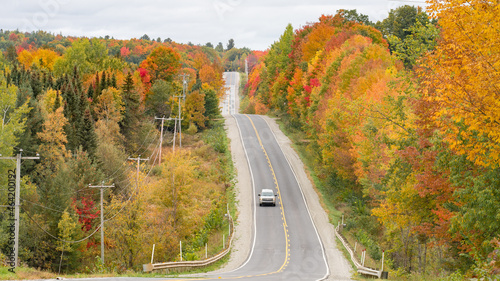 Autumn village road