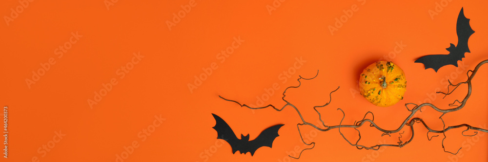 Two black paper bats silhouettes, small decorative pumpkin, scary bare branches on bright orange background. Happy Halloween banner. Holiday sale mockup for product advertising. Copy space, flat lay.