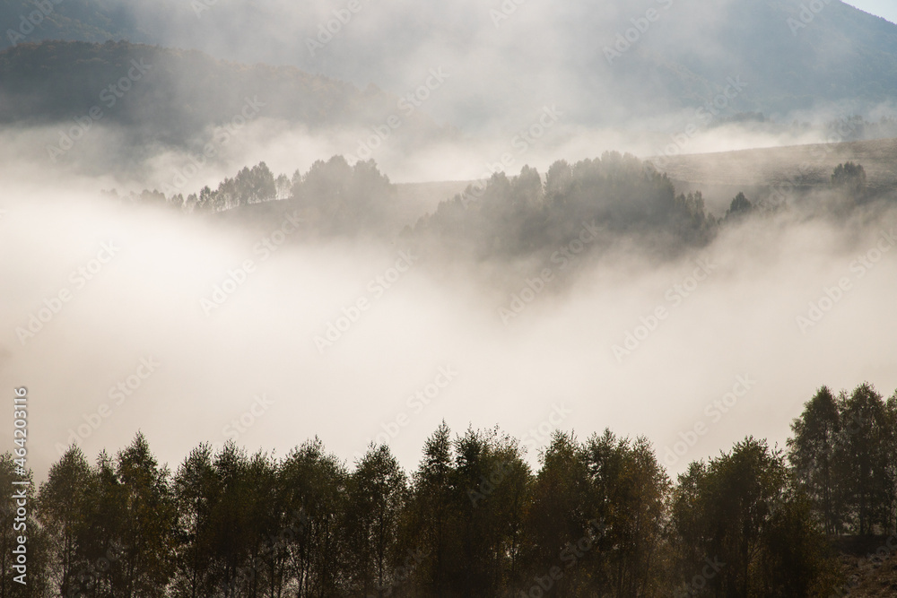 beautiful foggy autumn morning landscape in rural Transylvania beautiful foggy autumn morning landscape in rural Transylvania