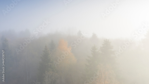 Aerial view of the misty morning in the autum forest