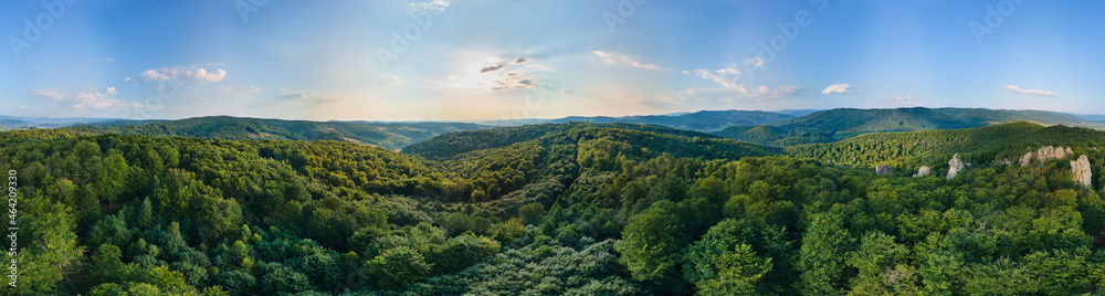 Aerial view of mountain hills covered with dense green lush woods on bright summer day.