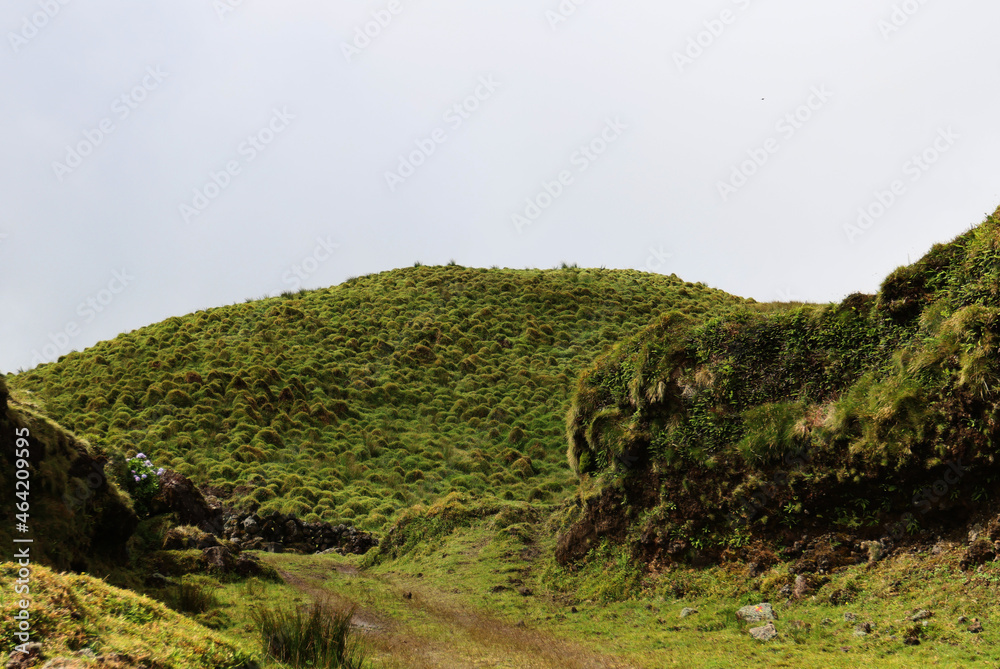 Characteristic landscape of the island of Pico, Azores