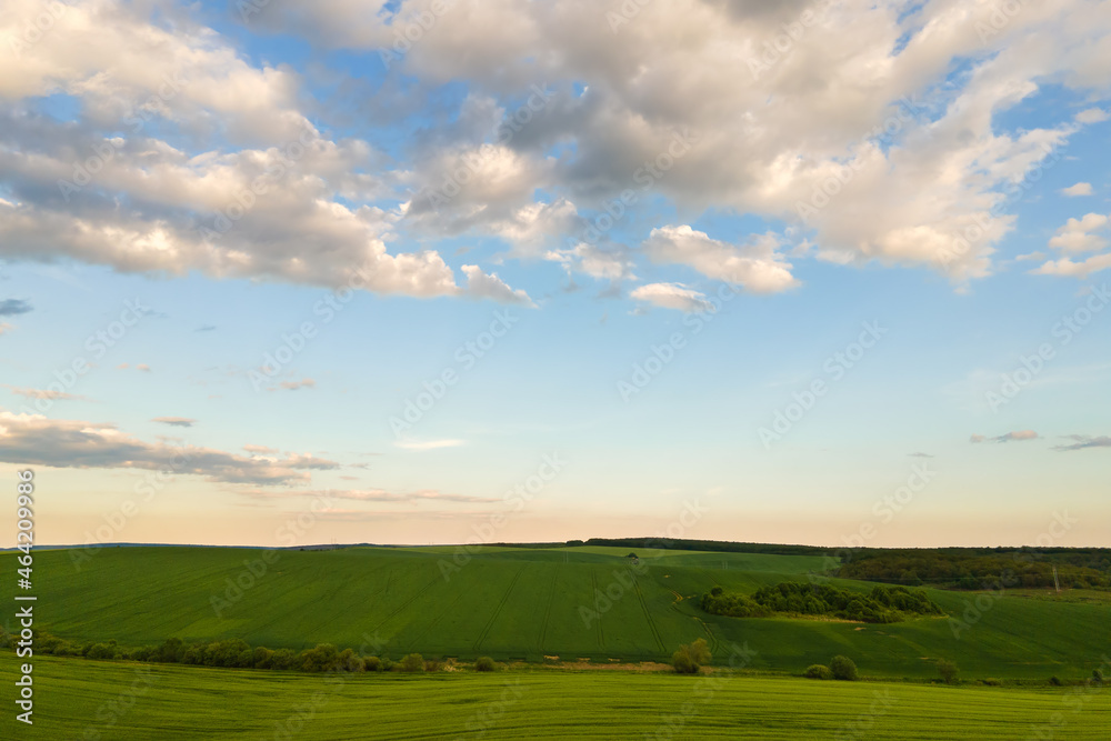 Aerial landscape view of green cultivated agricultural fields with growing crops on bright summer day.