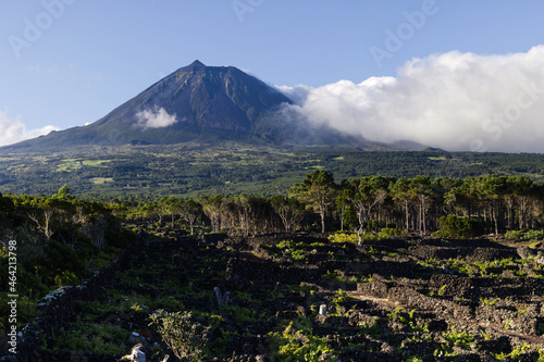 Typical landscape of the island of Pico with the mountain Pico in the background, Azores photo