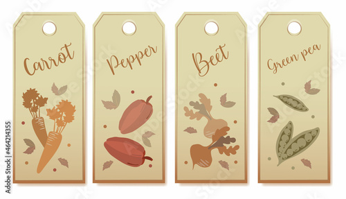 Vegetable seeds packets template. Vegetables tags design elements organic eco food vintage vegetable collection vector
