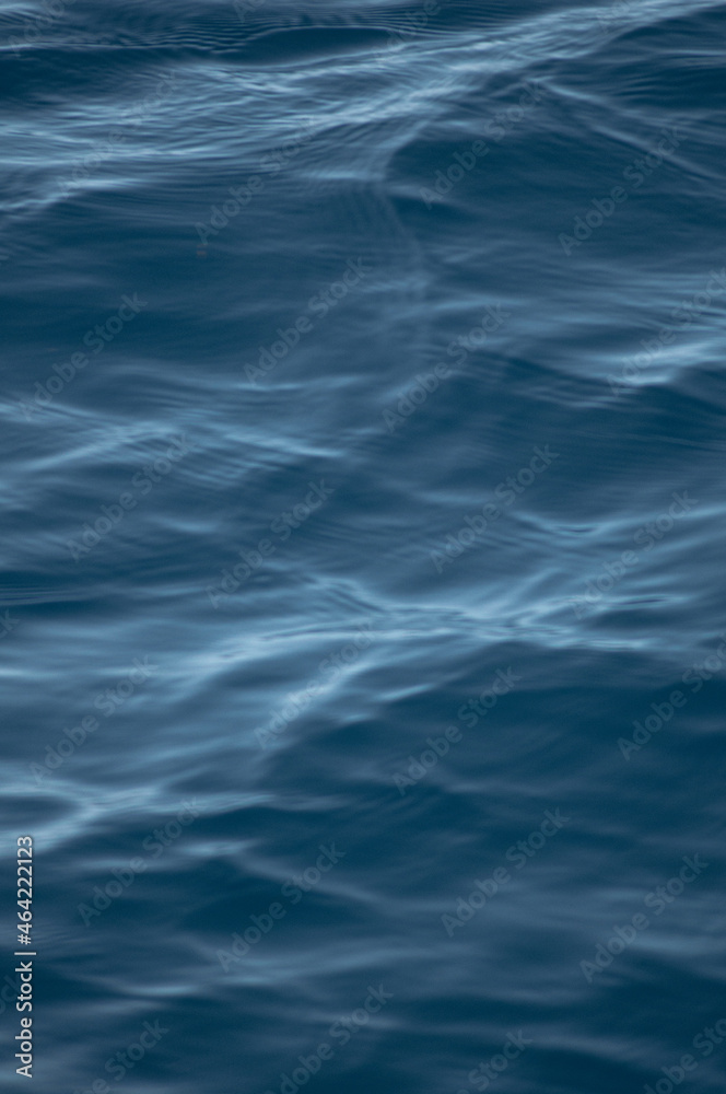 Fototapeta premium Pablo Pérez López