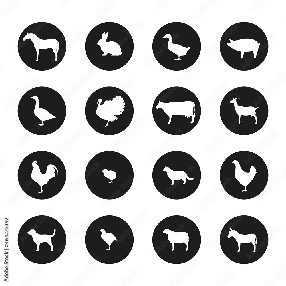 Farm Animal Icon Set. Horse, dog, goat, donkey, pig, cat, cow, sheep, hen, goose, rabbit, duck, turkey, chicken, broiler, rooster. Vector illustration.