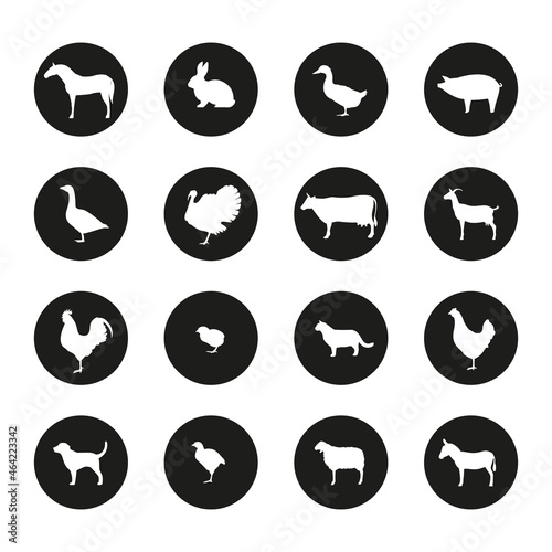 Farm Animal Icon Set. Horse, dog, goat, donkey, pig, cat, cow, sheep, hen, goose, rabbit, duck, turkey, chicken, broiler, rooster. Vector illustration.