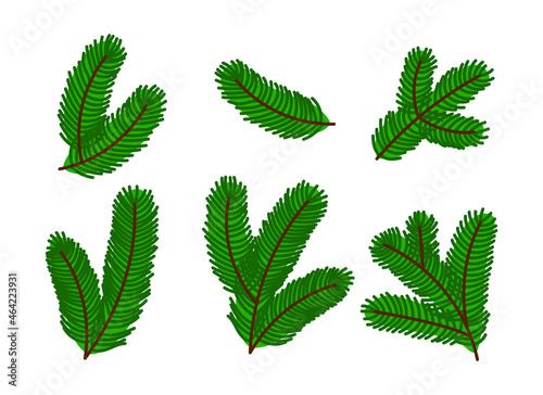 Set of fluffy spruce branches, collection of Christmas tree branches. Cartoon New Year illustration isolated on white background. Vector