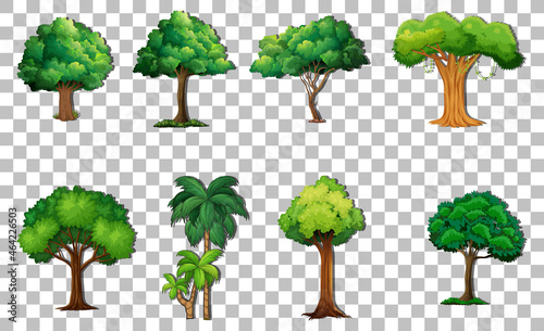 Set of variety trees on transparent background