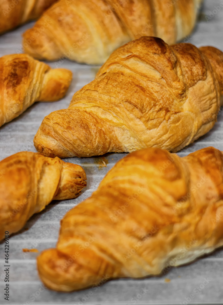 Homemade freshly baked delicious croissants lie on a baking sheet