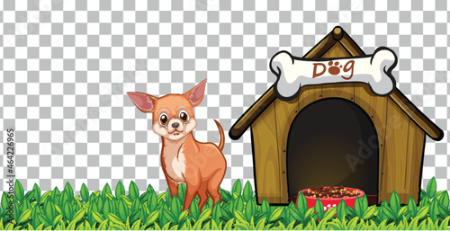 Chihuahua dog with dog house on transparent background